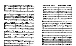 Miniatura de la partitura