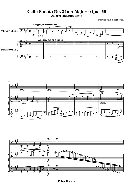 Miniatura de la partitura