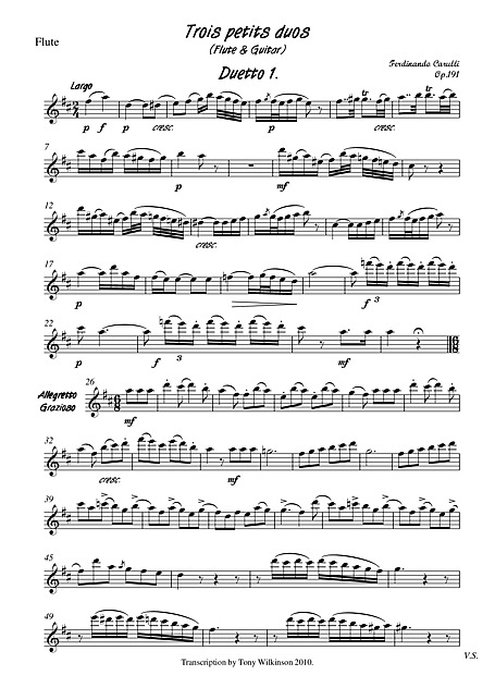 Flute Part Sheet music for Flute (Solo)