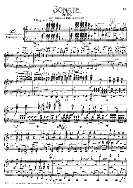 Piano Sonata No. 29 