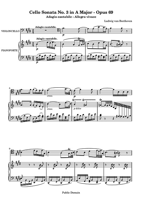 Miniatura de la partitura