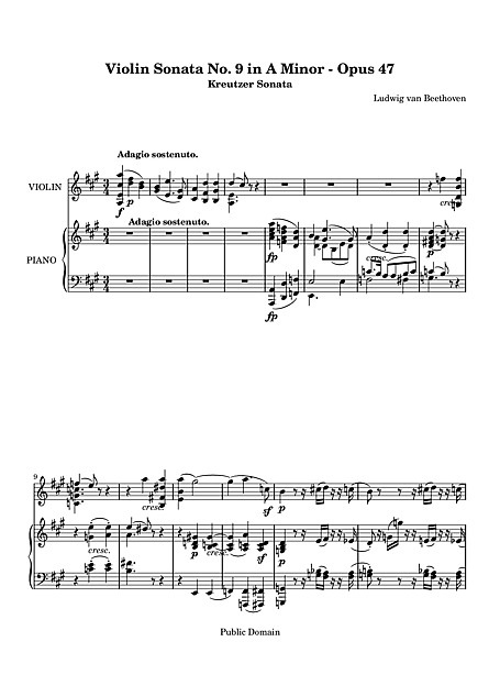 Violin Sonata No. "Kreutzer" 1. Adagio sostenuto - Presto - Adagio - ヴァイオリン、ピアノ - - カントリーアン,